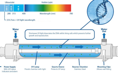 Why UV Disinfection Matters for Homeowners on Well Water